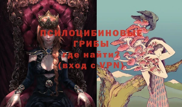 2c-b Киров