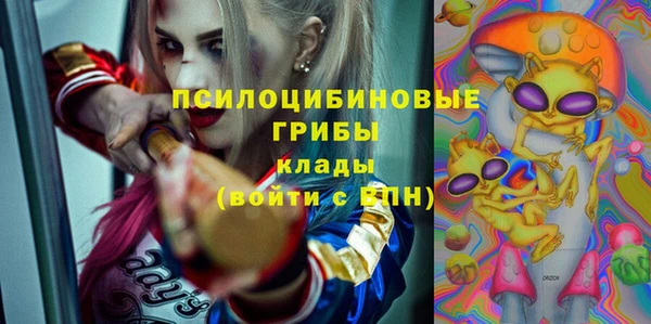 гидра Нижний Тагил